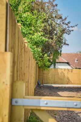Featheredge boundary fencing with timber gate by A Sterling Landscapes