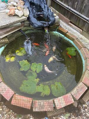 Water feature project 5 by A Sterling Landscapes